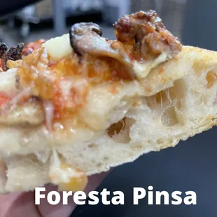 a hand holding a piece of pizza