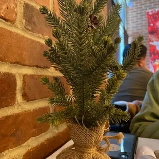 Tiny Xmas trees on every table