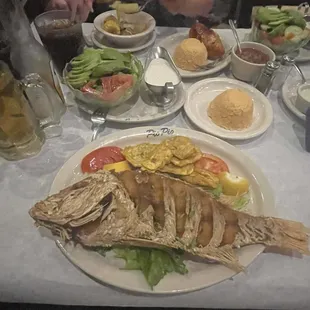Red Snapper