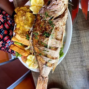 Red Snapper