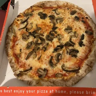 Fungus pizza