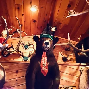 Bear in a tie ? Who knew ?