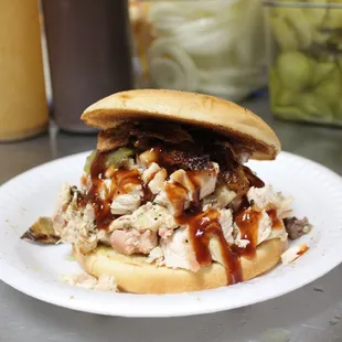 a pulled pork sandwich on a bun