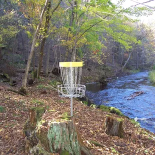 Disc Golf Course along secluded creek