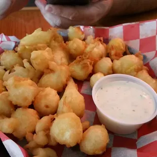 Deep Fried Brick Curds