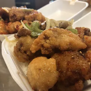 2 mini spicy chicken plates (plus bonus black pepper chicken the lady added in for us to try)