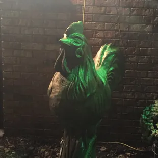 All about the chicken!