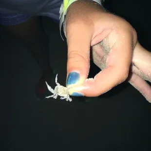 Night walking on the beach leads to crab catching!!!