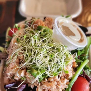 Avocado salmon salad