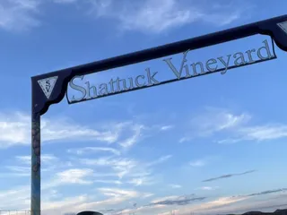 Shattuck Vineyard