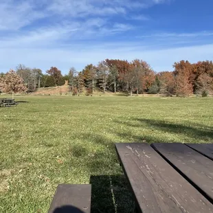 Picnic areas
