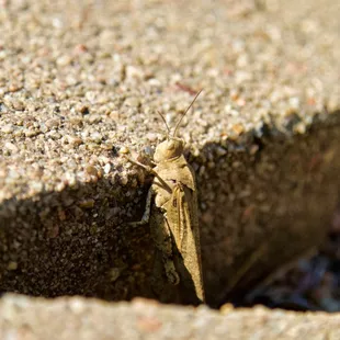 🏞️Pioneers Park Nature Center🏞️