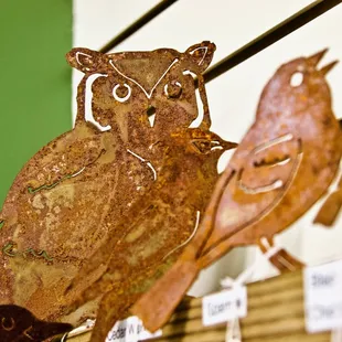 🏞️Pioneers Park Nature Center🏞️