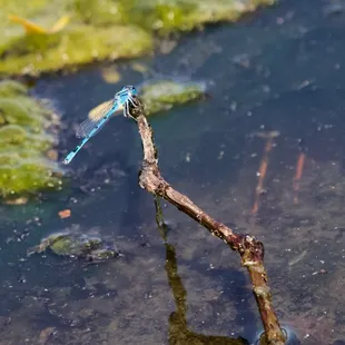 🏞️Pioneers Park Nature Center🏞️