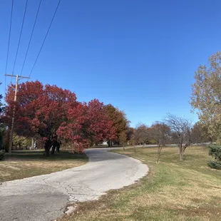Fall at Pipal Park
