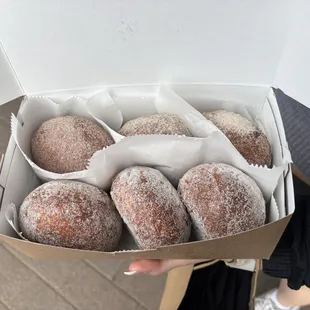 1/2 dozen malasada