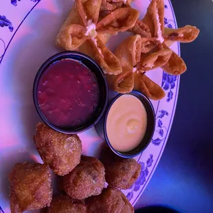 Wonton sampler