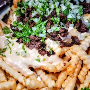 Carne Asada Fries