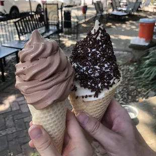 Chocolate Soft Serve (lactose free) Chocolate (left) and rum (right)