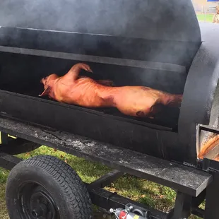 Our Amazing Pig!!