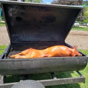 Pig!!