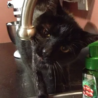 Mae S.