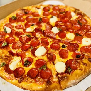 pepperoni and mozzarella pizza