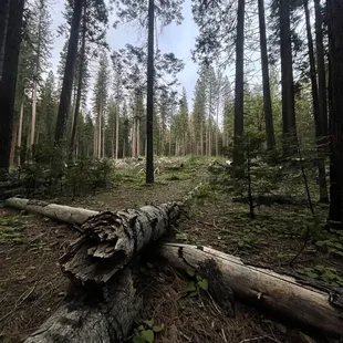one of the views next to a campsite