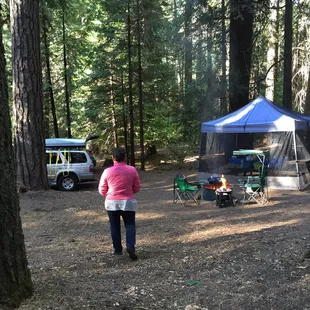Campsite 6-Too close to the road=Road Noise!