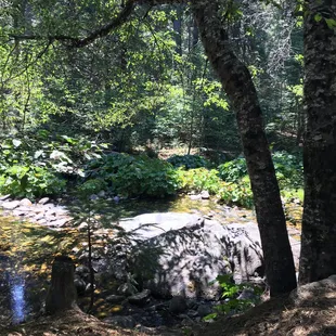 Beautiful creek