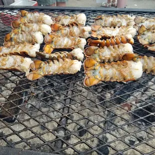 Lobster tails on the barbie
