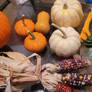 Squash, decorative corn and sugar pumpkins.