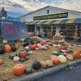 pumpkins and squash