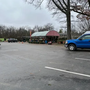 Christmas Tree Farm