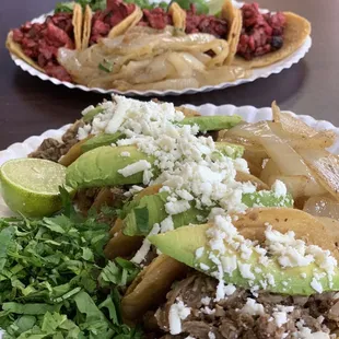 Piporro