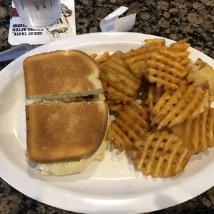 Waffle Fries, Tuna Salad Sandwich (asked for a melt)