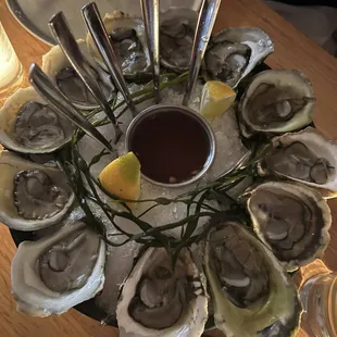 Dozen oysters