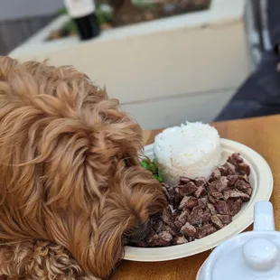 Doggy steak/peas/rice meal
