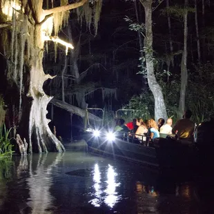 we also offer night time tours, this is when the swamp really comes alive