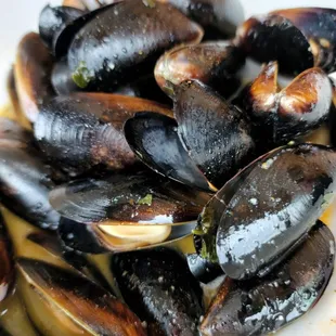 Mussels