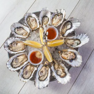 Fresh 12 Piece Oyster