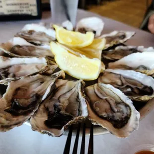 Fresh delicate oysters yumm