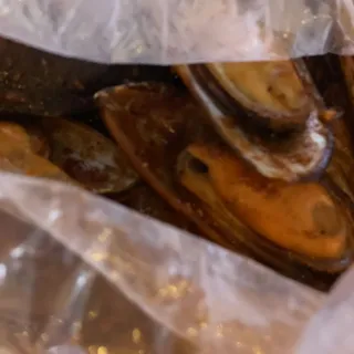 Mussels