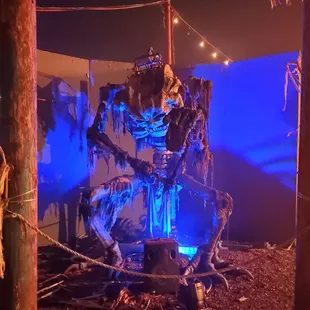 Cool decor/ photo ops