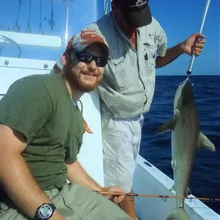 3.5ft Bull Shark