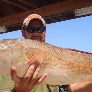 36in Redfish