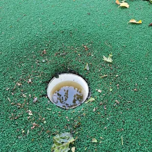 Hole filled with dirty water.