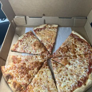 Another perfect pizza from Pisa.