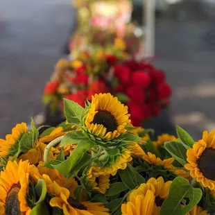a bunch of sunflowers