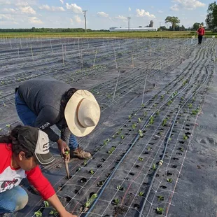 two people working in a field